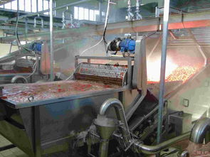 果蔬清洗機 大圖