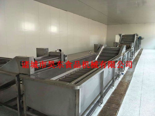 款式新穎救心菜清洗機 全304救心菜清洗設備價格,產品報價