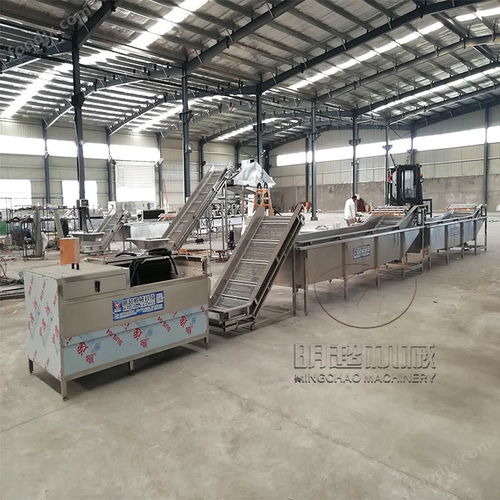 尼龍毛刷百香果山藥清洗加工設(shè)備