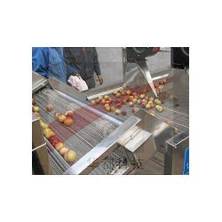 湖南連續(xù)式氣泡清洗設(shè)備 諸城長風(fēng)食品